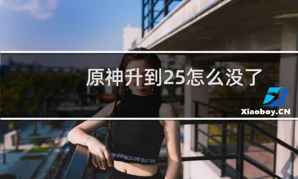 原神升到25怎么没了