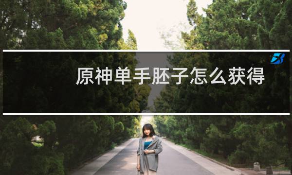 原神单手胚子怎么获得