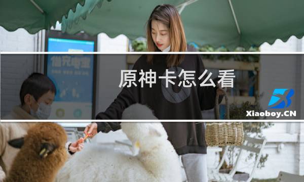 原神卡怎么看