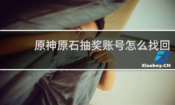 原神原石抽奖账号怎么找回