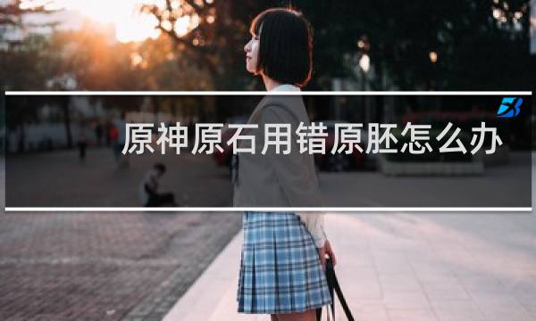 原神原石用错原胚怎么办
