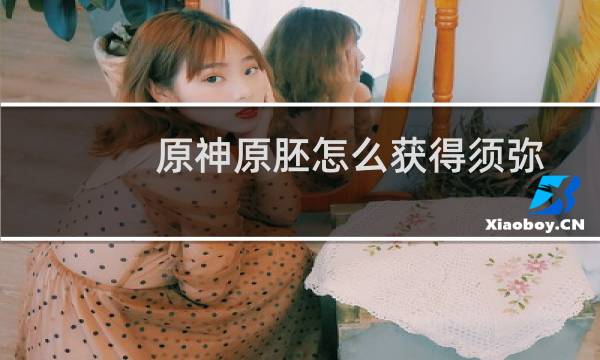 原神原胚怎么获得须弥