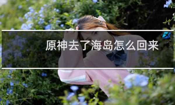 原神去了海岛怎么回来
