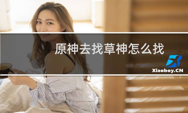 原神去找草神怎么找
