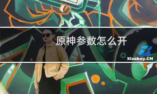 原神参数怎么开