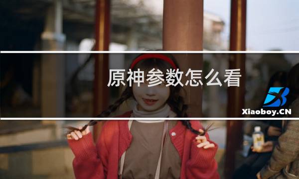 原神参数怎么看