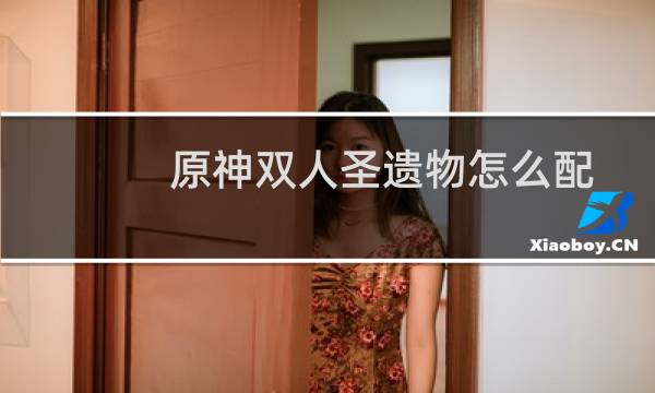 原神双人圣遗物怎么配