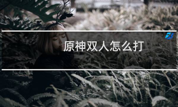 原神双人怎么打