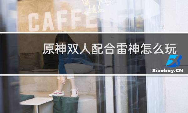 原神双人配合雷神怎么玩