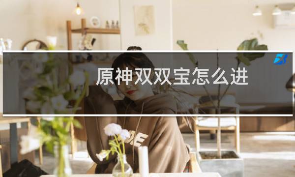 原神双双宝怎么进