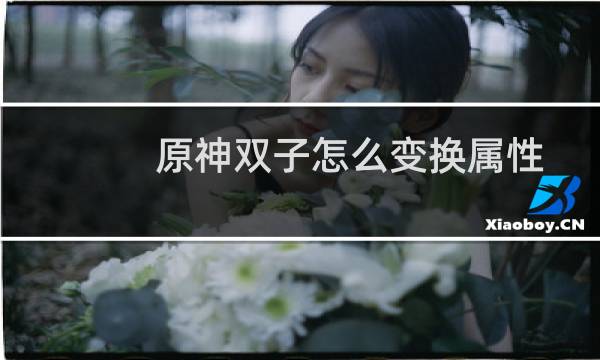 原神双子怎么变换属性