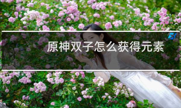原神双子怎么获得元素