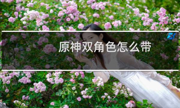 原神双角色怎么带