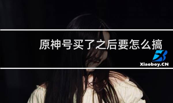 原神号买了之后要怎么搞