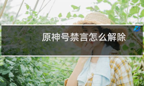 原神号禁言怎么解除