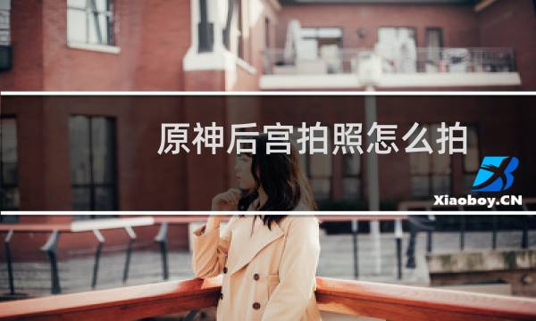 原神后宫拍照怎么拍