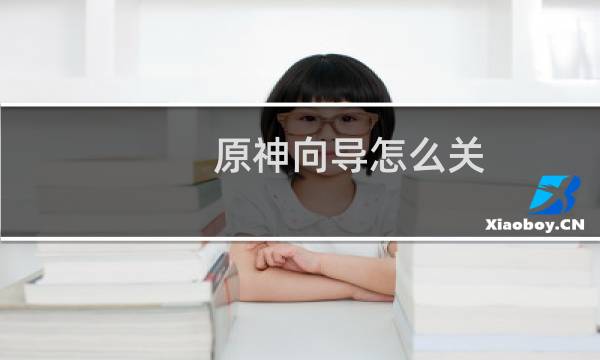 原神向导怎么关