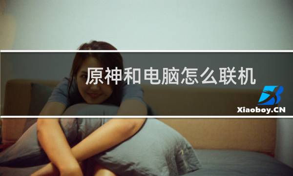 原神和电脑怎么联机