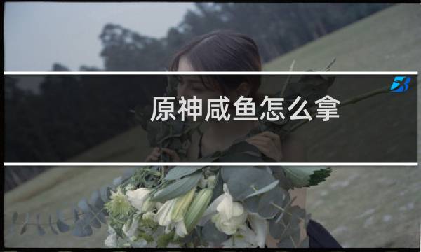 原神咸鱼怎么拿