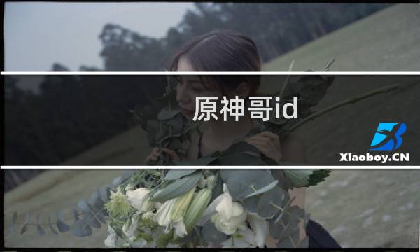 原神哥id 怎么读