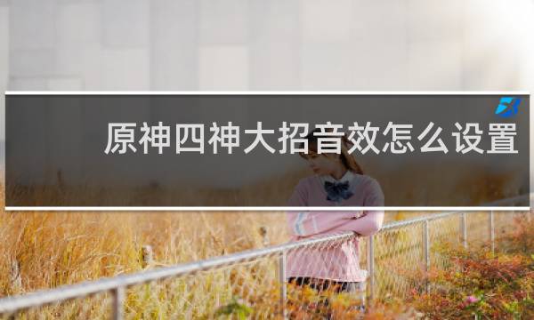 原神四神大招音效怎么设置