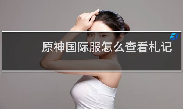 原神国际服怎么查看札记