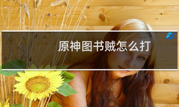 原神图书贼怎么打