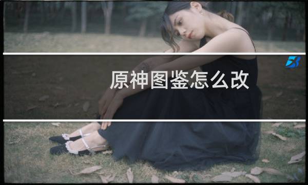 原神图鉴怎么改