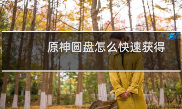 原神圆盘怎么快速获得