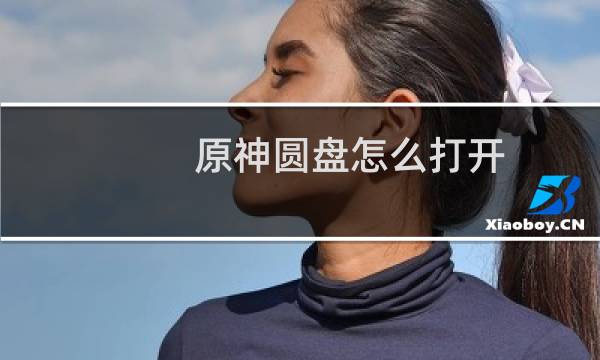 原神圆盘怎么打开