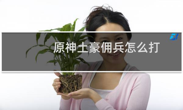 原神土豪佣兵怎么打