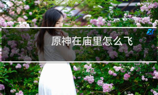原神在庙里怎么飞