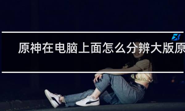 原神在电脑上面怎么分辨大版原神