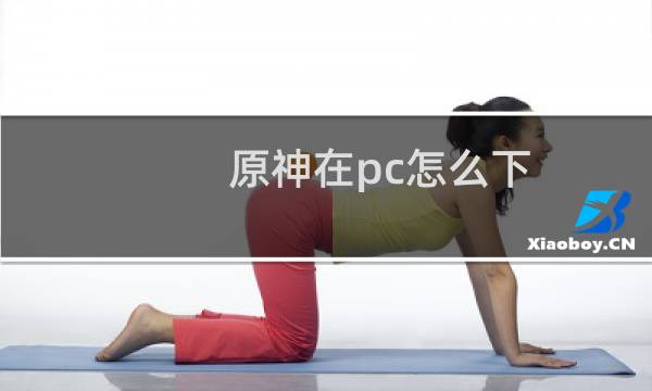 原神在pc怎么下