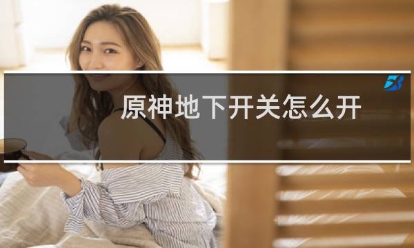 原神地下开关怎么开