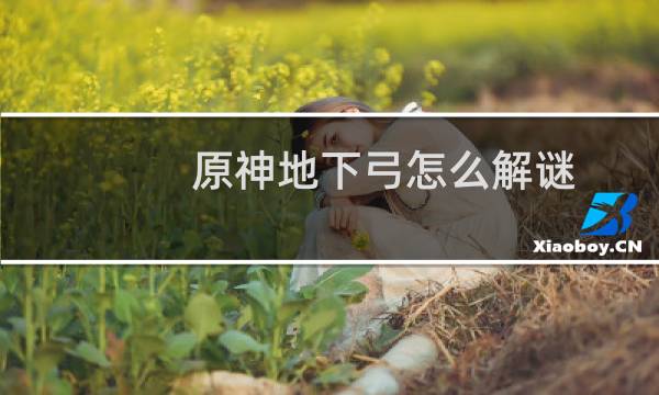 原神地下弓怎么解谜