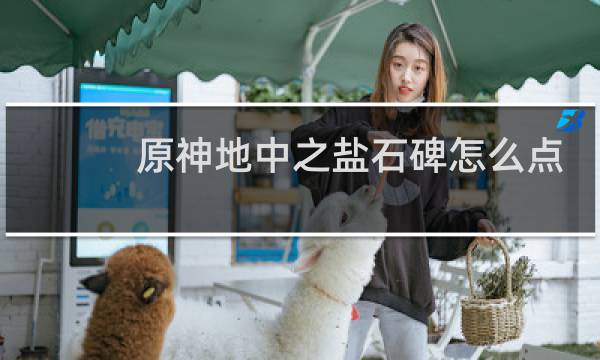 原神地中之盐石碑怎么点