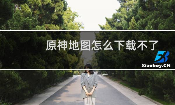 原神地图怎么下载不了