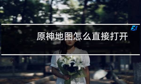 原神地图怎么直接打开
