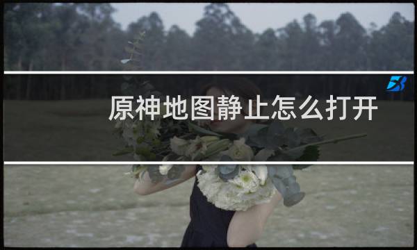 原神地图静止怎么打开