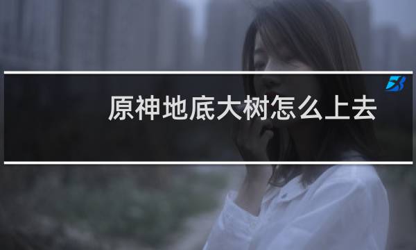 原神地底大树怎么上去