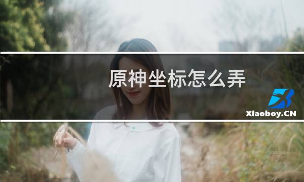 原神坐标怎么弄