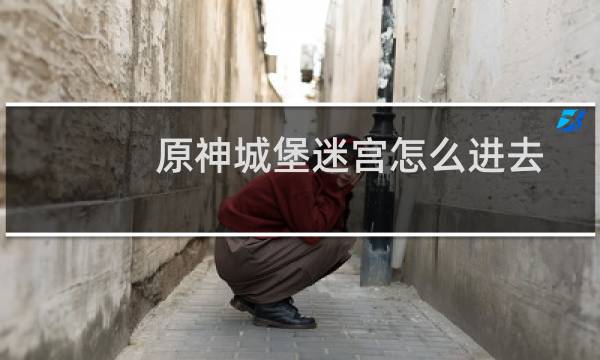 原神城堡迷宫怎么进去