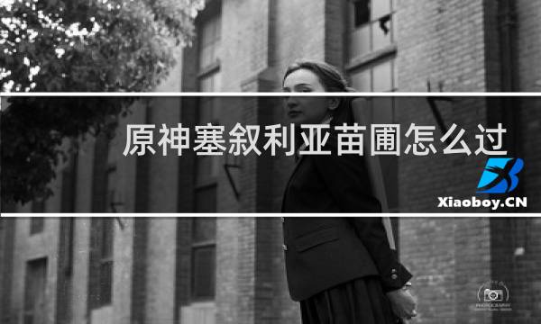 原神塞叙利亚苗圃怎么过