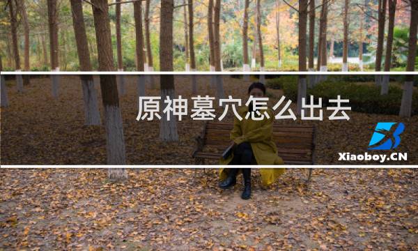 原神墓穴怎么出去
