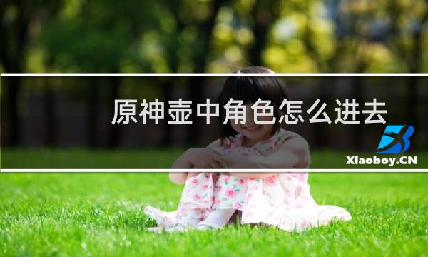 原神壶中角色怎么进去