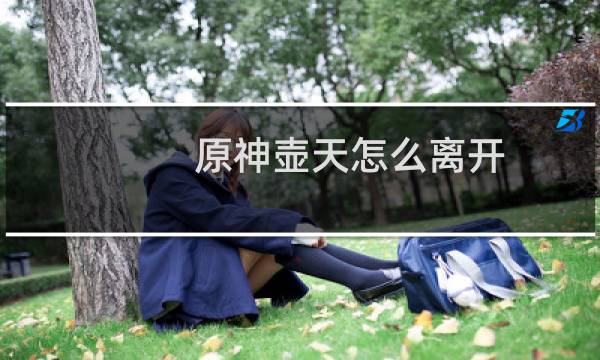 原神壶天怎么离开