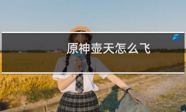 原神壶天怎么飞