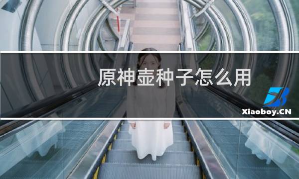 原神壶种子怎么用