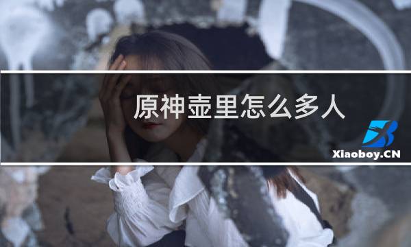 原神壶里怎么多人